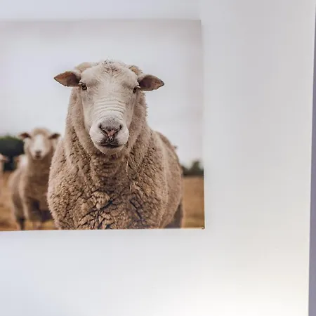 Góralskie * Zakopane